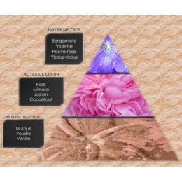 Pyramide olfactive - W14