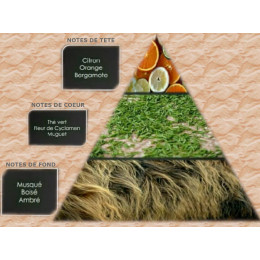 Pyramide olfactive thé vert & agrumes